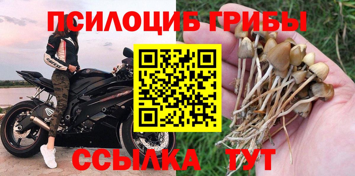 Псилоцибиновые грибы мицелий  Галлюциногенные грибы прущие грибы  Вход с VPN  Куйбышев 